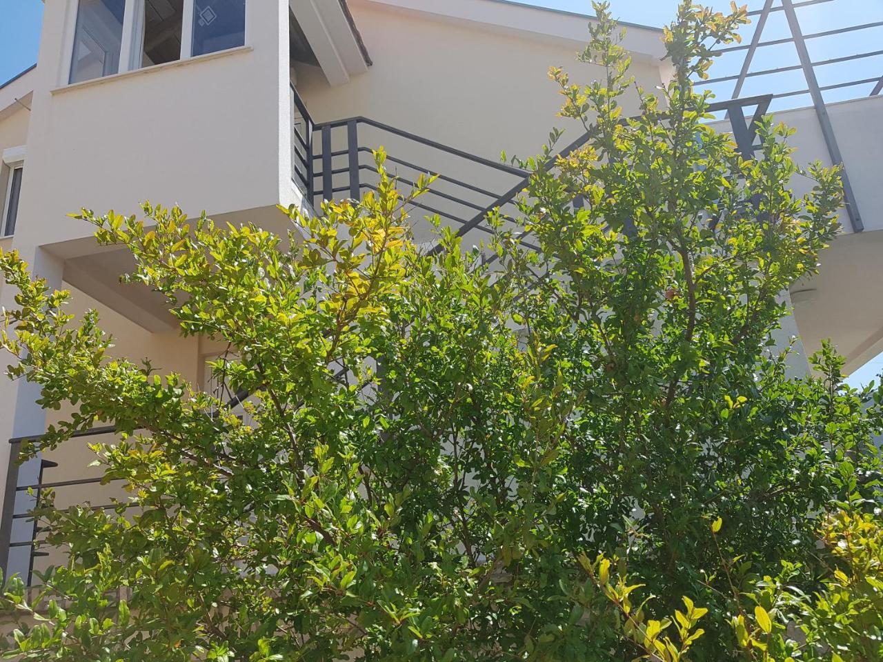 Apartments Maria Ivanica 外观 照片